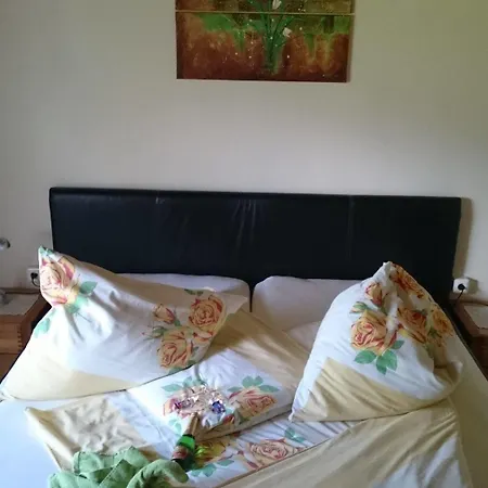 فندق مبيت وإفطار Denggenhof سول